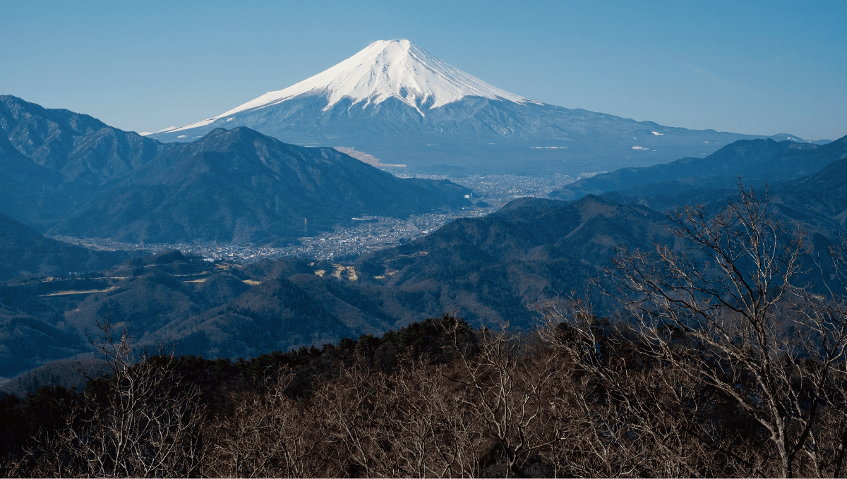 高川山の写真
