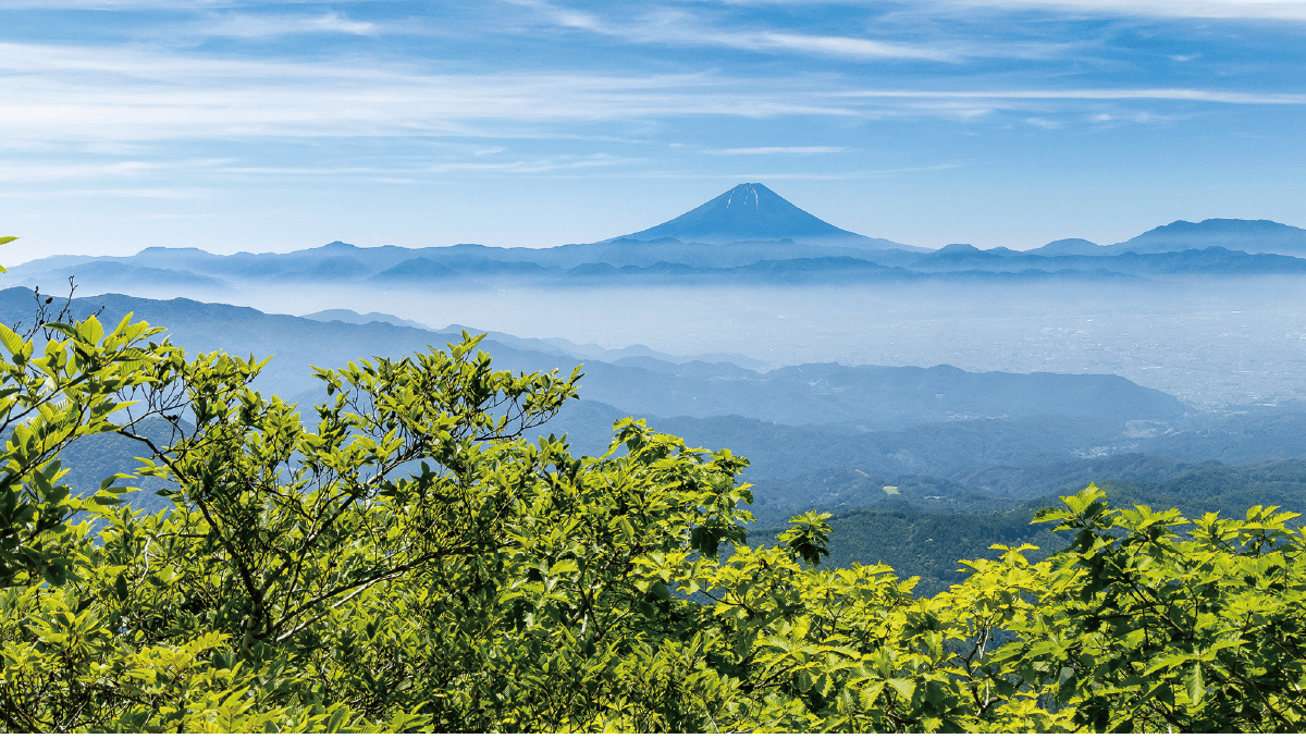 茅ヶ岳の写真