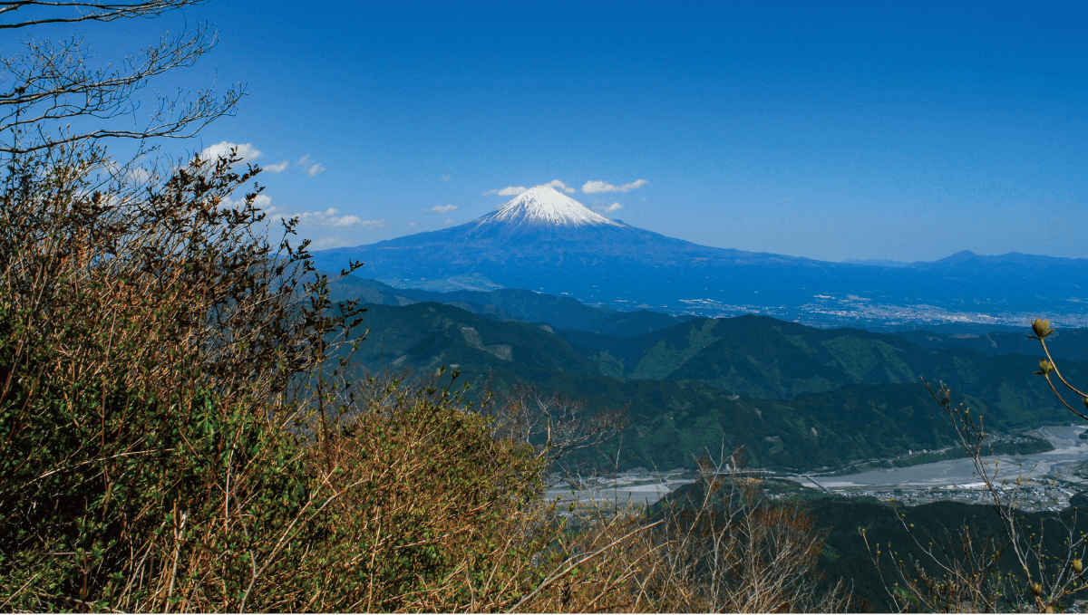 篠井山の写真