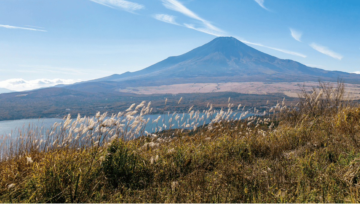 大平山の写真