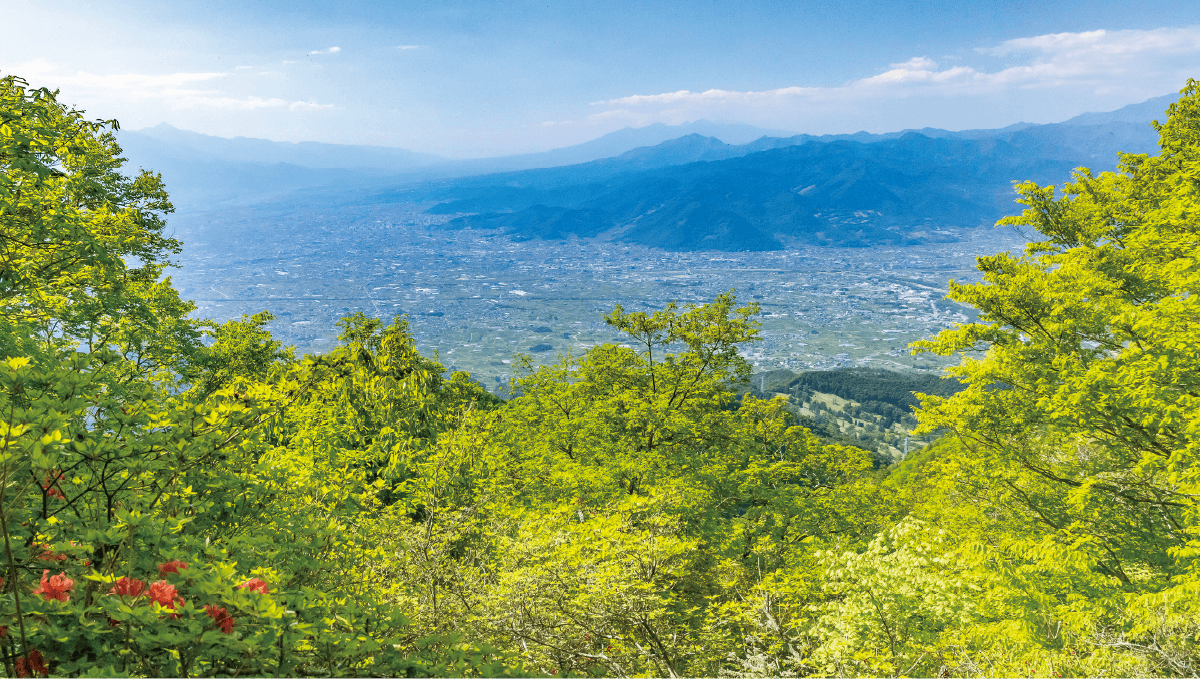 大栃山の写真